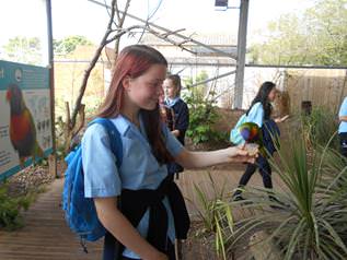 Year 8 Visit Twycross Zoo